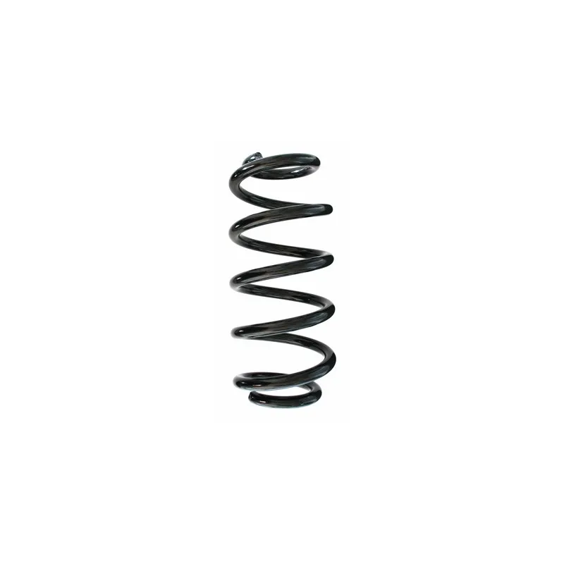Ressort de suspension SPIDAN 87167