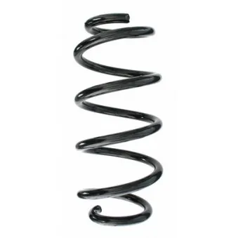 Ressort de suspension SPIDAN 87168
