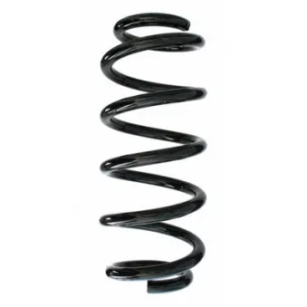 Ressort de suspension SPIDAN 87172