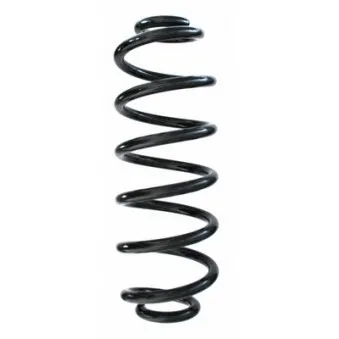 Ressort de suspension SPIDAN 87174
