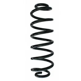 Ressort de suspension SPIDAN 87176