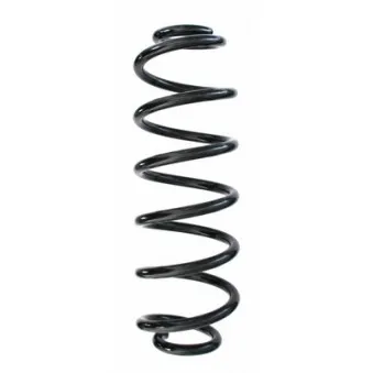 Ressort de suspension SPIDAN 87178