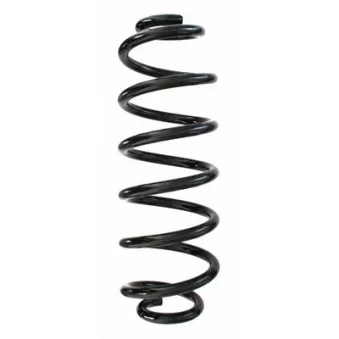 Ressort de suspension SPIDAN 87179