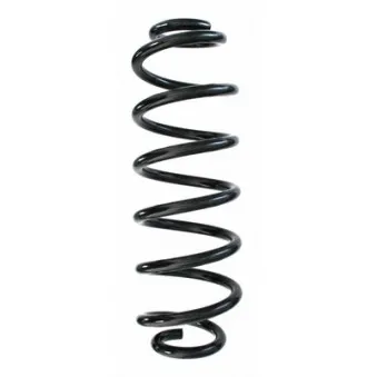Ressort de suspension SPIDAN 87180