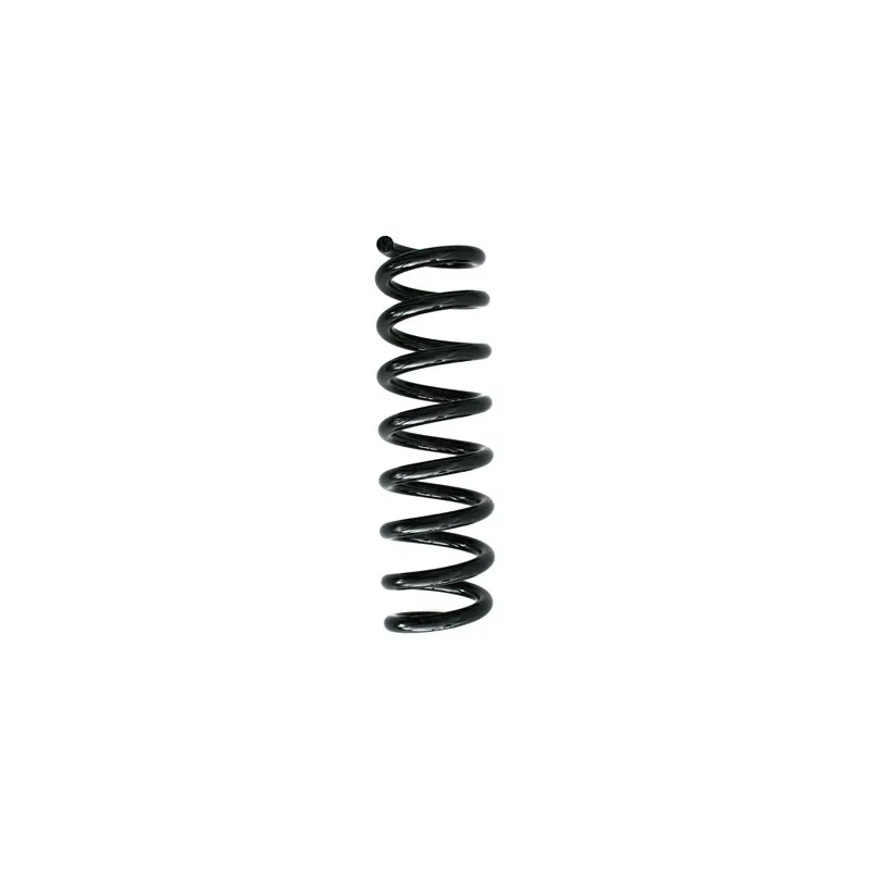 Ressort de suspension SPIDAN 87184