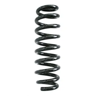 Ressort de suspension SPIDAN 87185