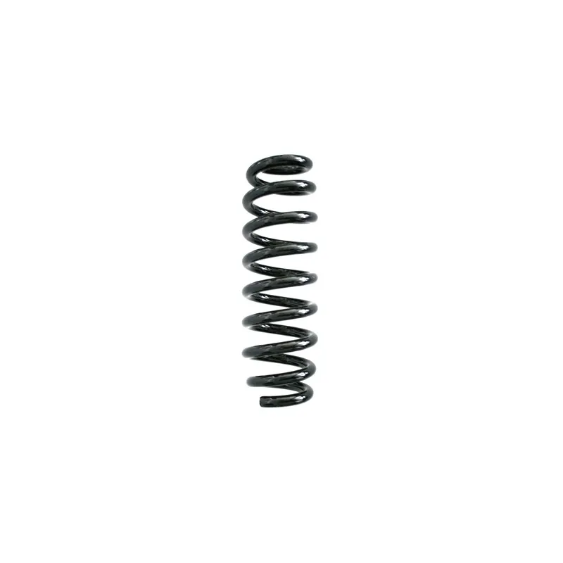 Ressort de suspension SPIDAN 87185