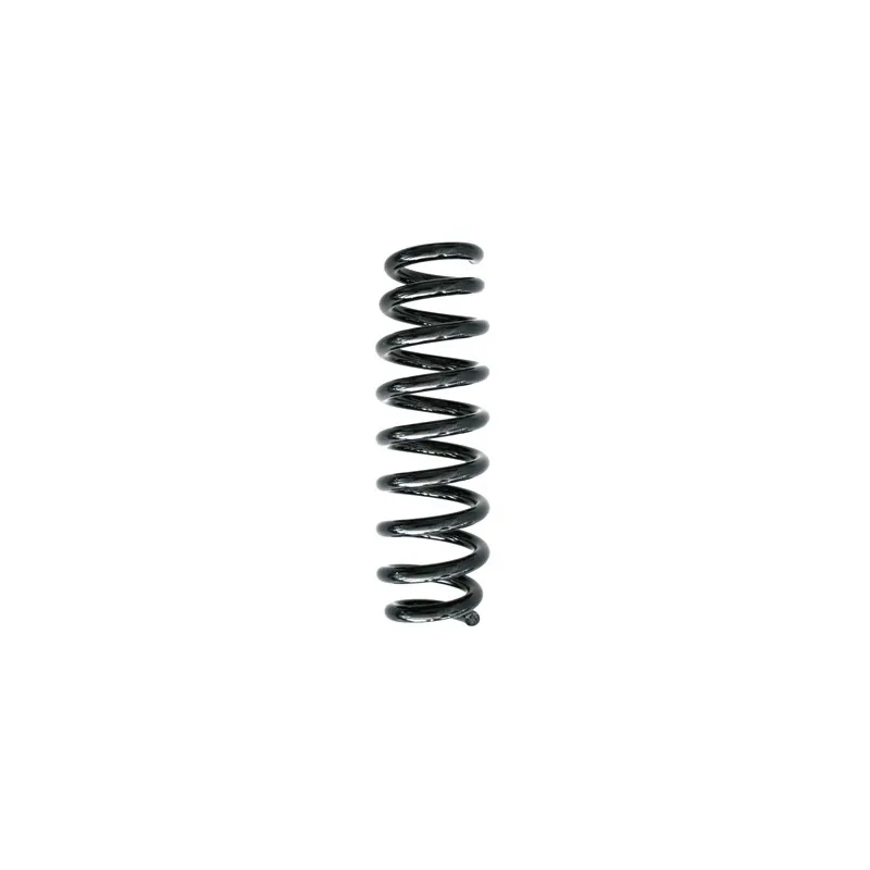 Ressort de suspension SPIDAN 87186