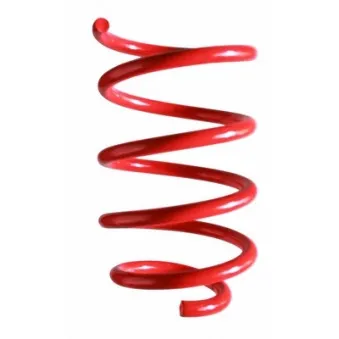 Ressort de suspension SPIDAN 87188