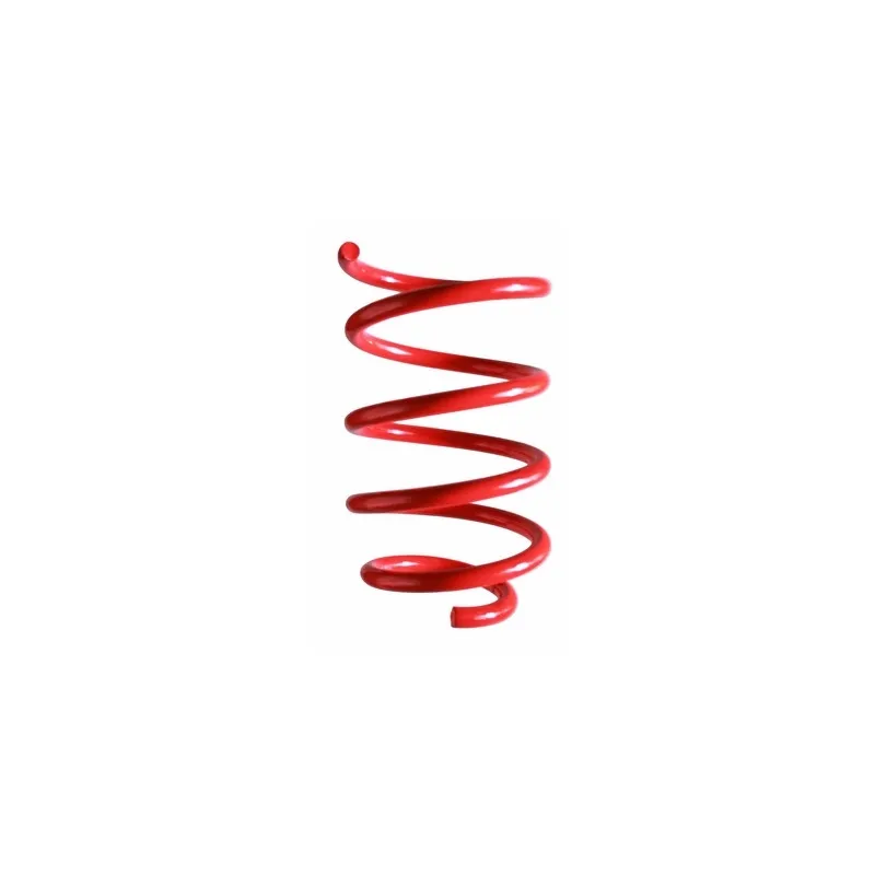 Ressort de suspension SPIDAN 87188