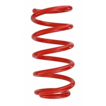Ressort de suspension SPIDAN 87189