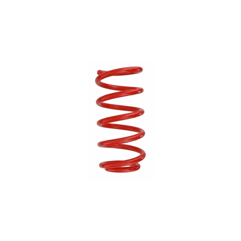 Ressort de suspension SPIDAN 87189