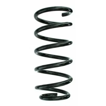 Ressort de suspension SPIDAN 87192