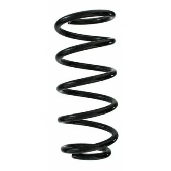 Ressort de suspension SPIDAN 87193