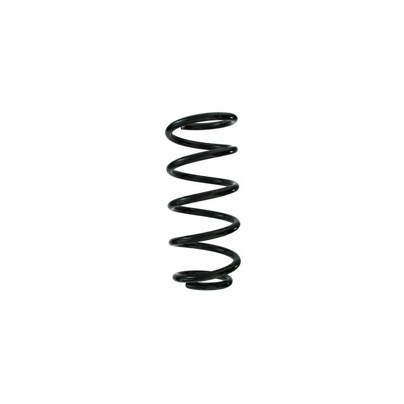 Ressort de suspension SPIDAN 87193