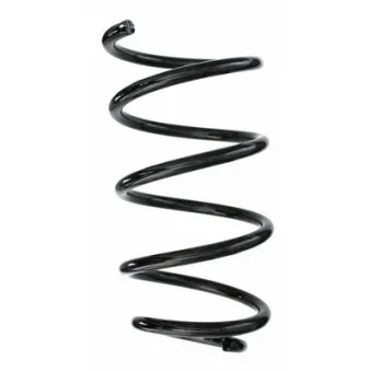 Ressort de suspension SPIDAN 87194