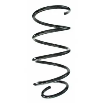 Ressort de suspension SPIDAN 87197