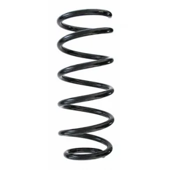Ressort de suspension SPIDAN 87198