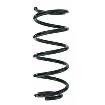 Ressort de suspension SPIDAN 87199
