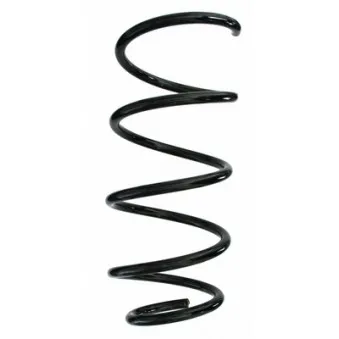 Ressort de suspension SPIDAN 87202