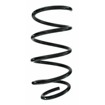 Ressort de suspension SPIDAN 87206