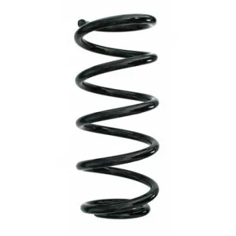 Ressort de suspension SPIDAN 87207