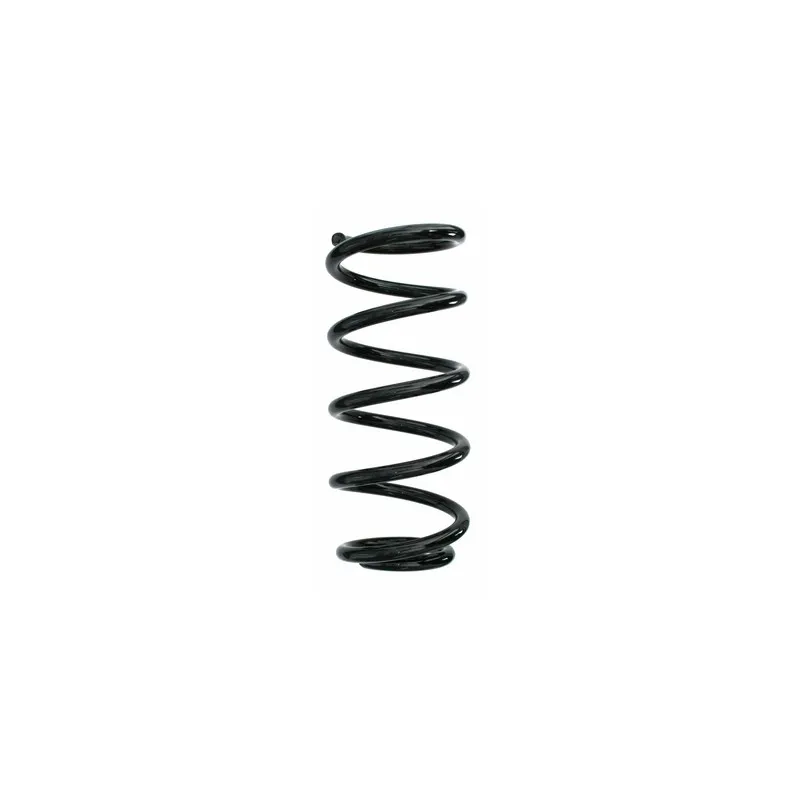 Ressort de suspension SPIDAN 87207