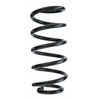 Ressort de suspension SPIDAN 87208