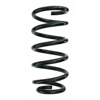 Ressort de suspension SPIDAN 87215