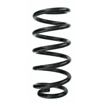 Ressort de suspension SPIDAN 87216