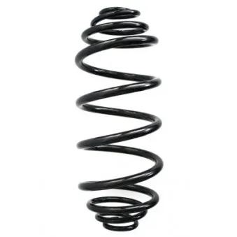 Ressort de suspension SPIDAN 87220