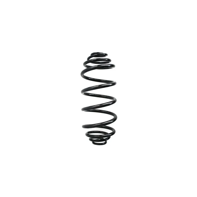 Ressort de suspension SPIDAN 87220