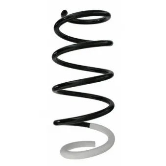 Ressort de suspension SPIDAN 87224