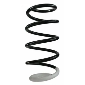 Ressort de suspension SPIDAN 87225