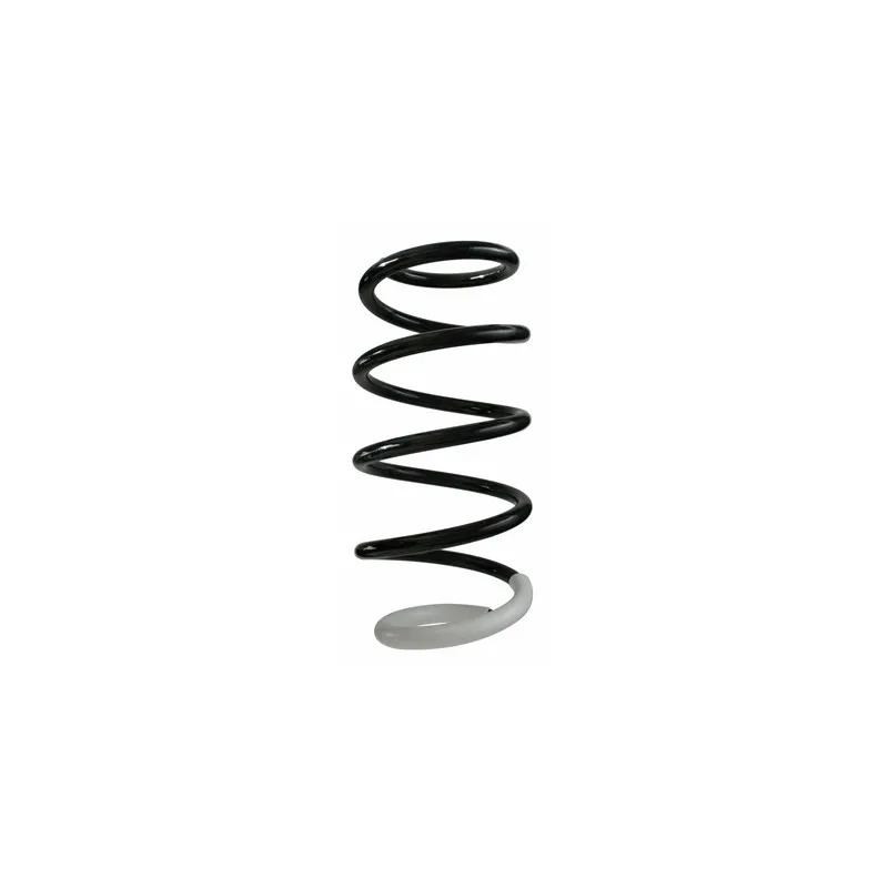 Ressort de suspension SPIDAN 87225
