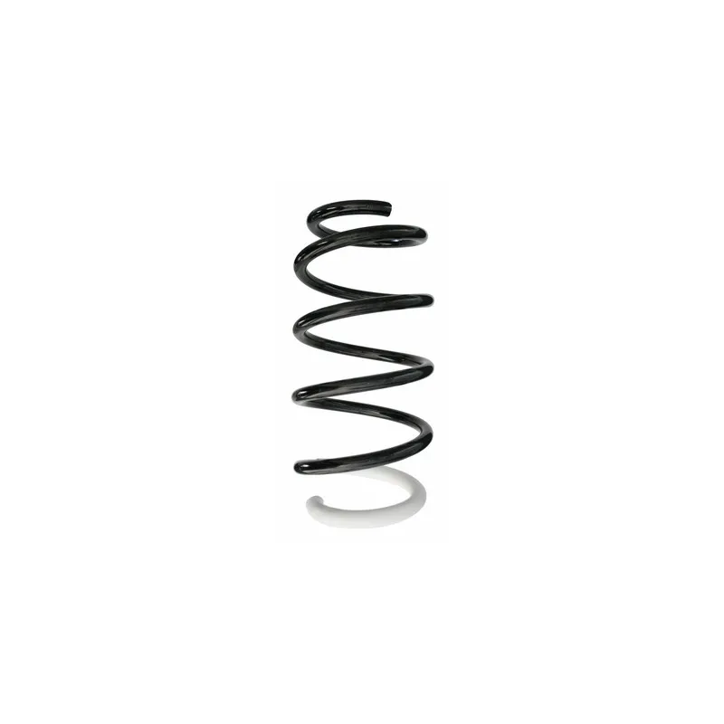 Ressort de suspension SPIDAN 87226