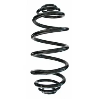 Ressort de suspension SPIDAN 87230