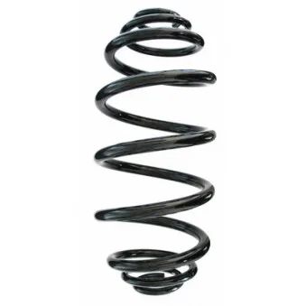 Ressort de suspension SPIDAN 87232