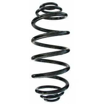 Ressort de suspension SPIDAN 87234