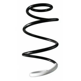 Ressort de suspension SPIDAN 87244