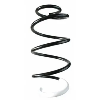 Ressort de suspension SPIDAN 87246