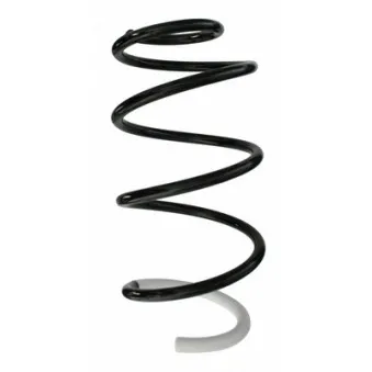 Ressort de suspension SPIDAN 87250