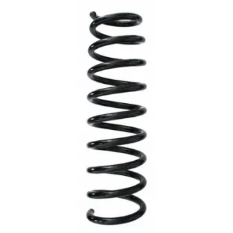 Ressort de suspension SPIDAN 87252