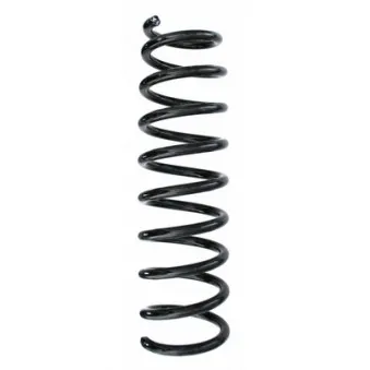 Ressort de suspension SPIDAN 87253
