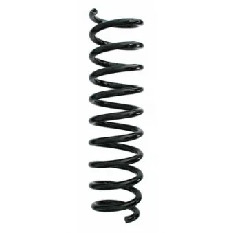 Ressort de suspension SPIDAN 87255