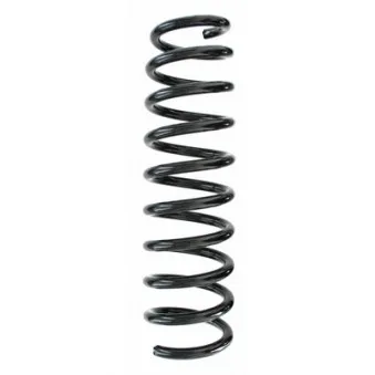 Ressort de suspension SPIDAN 87257