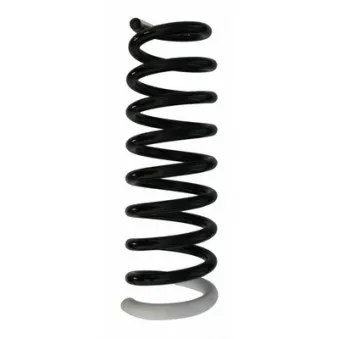 Ressort de suspension SPIDAN 87261
