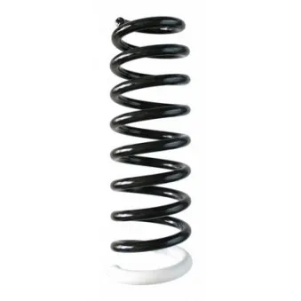 Ressort de suspension SPIDAN 87262
