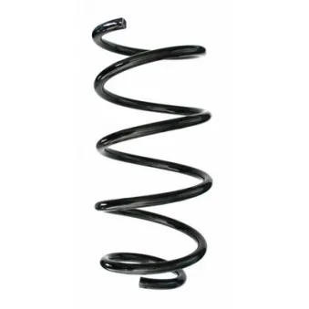 Ressort de suspension SPIDAN 87271