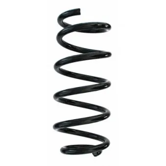 Ressort de suspension SPIDAN 87280